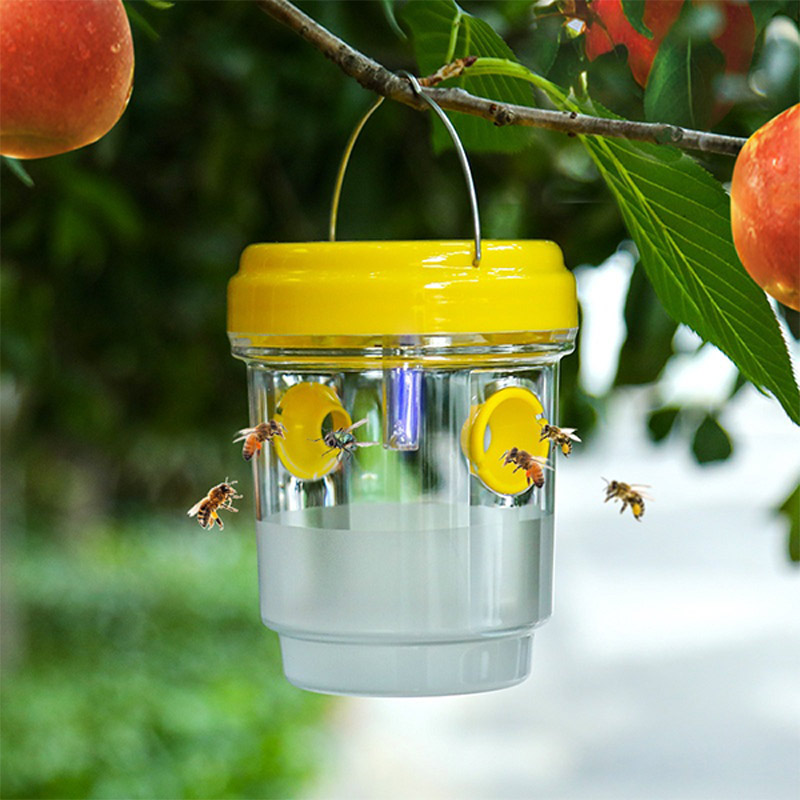 Outdoor Lighting Under Pergola - Pièges à mouches à fruits solaires