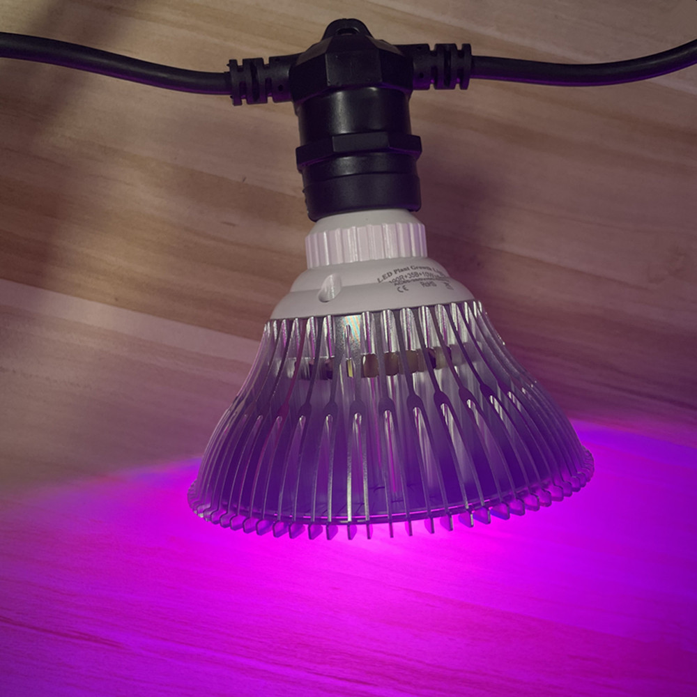 Guirlande lumineuse LED de 10M - Outdoor Lighting For Backyard avis et prix